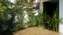 saraca-gardens photo thumbnail #8